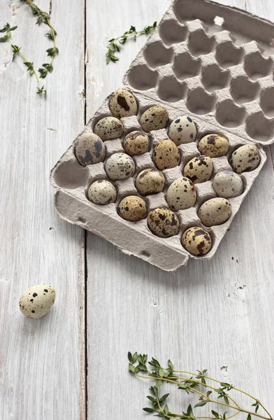 Quail eggs in the cardboard packing on the white table — Stock Photo, Image