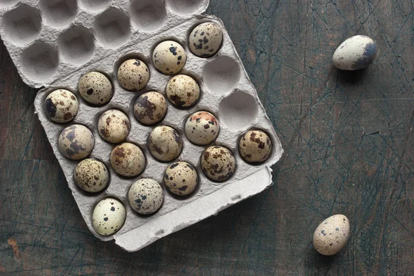 Huevos de codorniz en el embalaje de cartón en la mesa gris — Foto de Stock