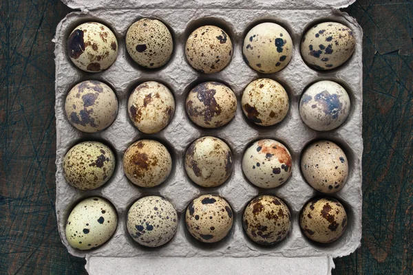 Huevos de codorniz en el embalaje de cartón en la mesa gris — Foto de Stock