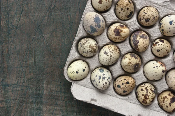 Huevos de codorniz en el embalaje de cartón en la mesa gris — Foto de Stock