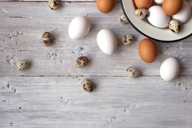 Tavuk ve Bıldırcın yumurta beyaz tahta masada
