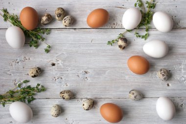 Cicken ve Bıldırcın yumurta ve beyaz t kekik ile yapılan bir çerçeve