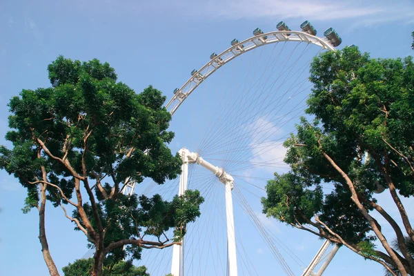 La roue du Singapour flyer ferris view — Photo