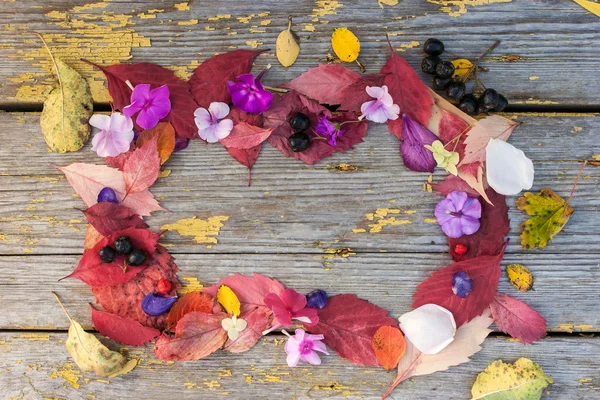 Moldura feita de folhas, flores e bagas diferentes — Fotografia de Stock