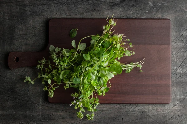 Orégano no tabuleiro da cozinha na velha mesa escura — Fotografia de Stock