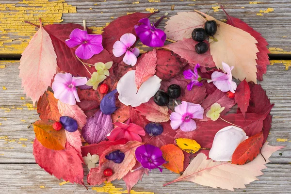 Bunte Blätter, Blumen und Beeren auf dem alten Holztischhintergrund — Stockfoto