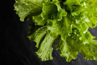 Yeşil salata bir siyah taş tablo