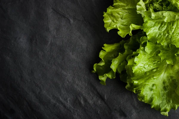 Siyah taş tablonun sağ tarafında yeşil salata — Stok fotoğraf