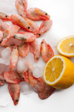 Karides beyaz zemin üzerine limon ile dikey dondurulmuş