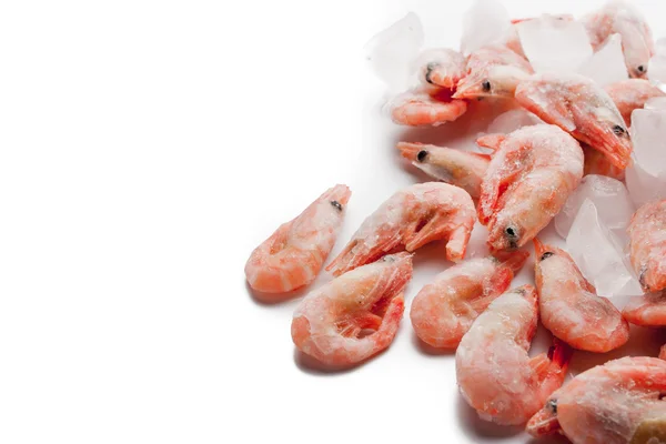 Frozen shrimps in the right side of the white background — Stock Photo, Image