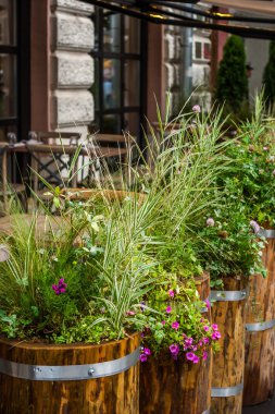 Bitki ve çiçek dekorasyon dikey sokak kafe