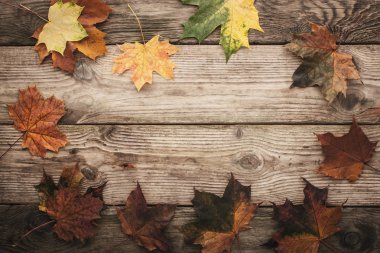 Frame of maple leaves on the wooden background with film filter effect