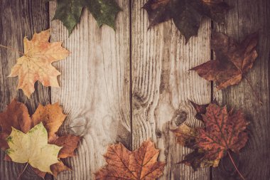 Frame of fallen leaves on the wooden background with film filter effect