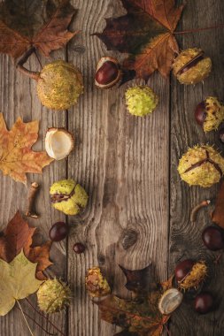Frame of chestnuts and leaves on the wooden background vertical with film filter effect