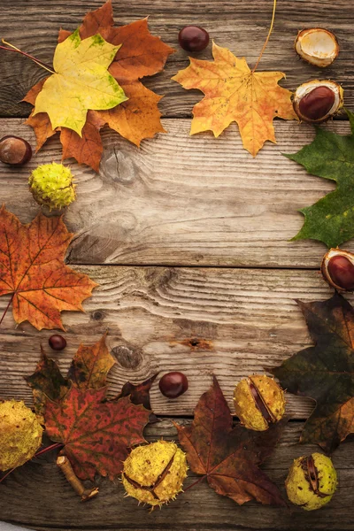 Frame of chestnuts and autumnal leaves on the wooden background vertical with film filter effect