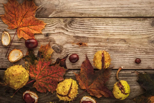 Kastanjes en herfst maple verlaat op de houten achtergrond met film filtereffect — Stockfoto