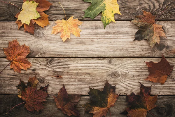Frame of maple leaves on the wooden background with film filter effect