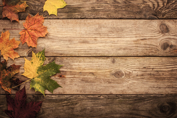 Осенние кленовые листья на деревянном столе с фильтрующим фоном
