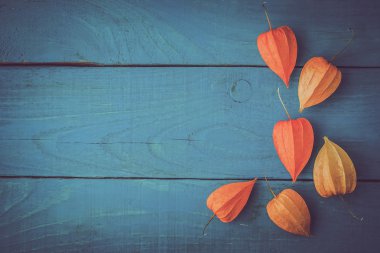 Turuncu physalis masada ahşap camgöbeği yatay