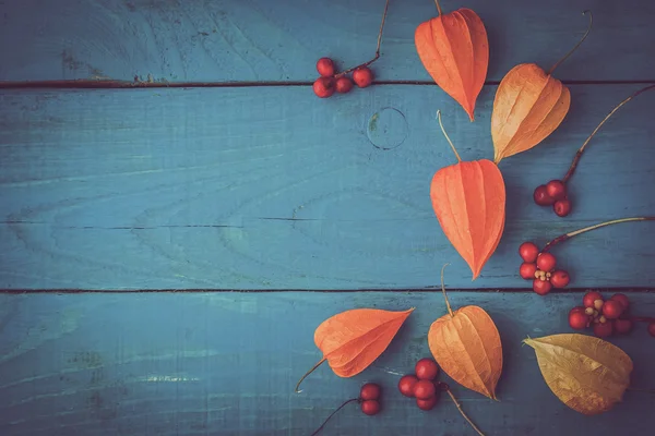 나무 시안색 테이블에 붉은 열매와 오렌지 physalis — 스톡 사진