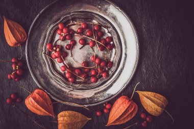 Vintage metal plaka physalis yatay ile kırmızı meyveler