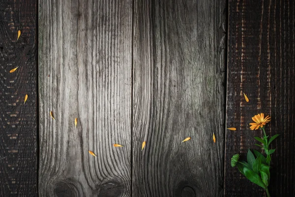 Flower with fallen petals on the wooden background top view — Stock Photo, Image