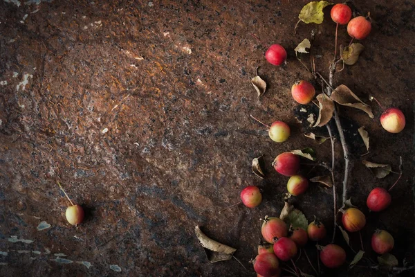 Manzana con ramitas y hojas sobre el fondo de piedra marrón horizontal — Foto de Stock