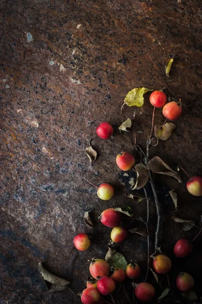 Manzana con ramitas y hojas sobre el fondo de piedra marrón vertical — Foto de Stock