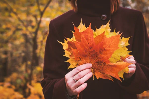 Donna con bouquet pf autunno foglie in mano — Foto Stock