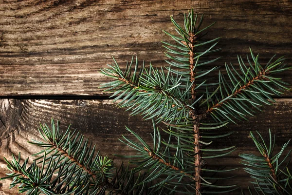 Abeto de Navidad en el fondo de madera — Foto de Stock