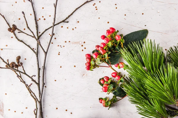 Rama de pino y plantas de invierno en la mesa blanca — Foto de Stock