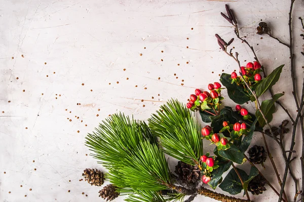 Rama de pino y plantas de invierno en la mesa blanca — Foto de Stock