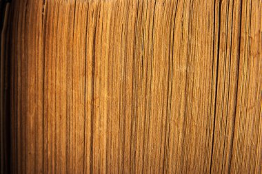 Eski kitap yakın çekim sayfaları