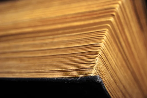 Pagine del vecchio libro — Foto Stock