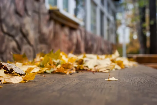 Niewyraźne autumn listowie na stole — Zdjęcie stockowe