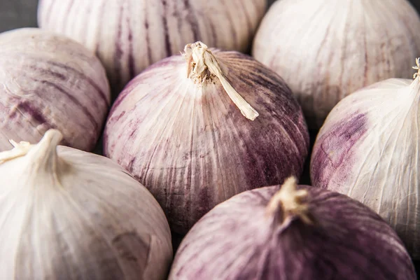 Knoblauch Hintergrund Nahaufnahme — Stockfoto