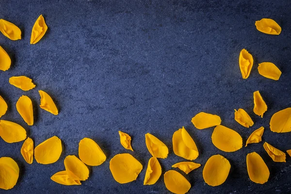 Rose petals on the dark stone table horizontal — Stock Photo, Image