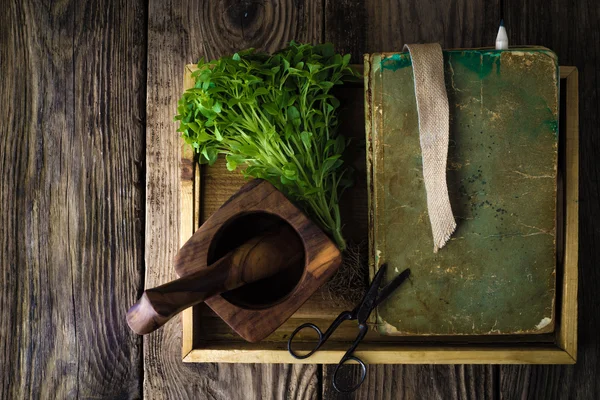 Wooden tray with book , green basil and scissors top view — Stock Photo, Image