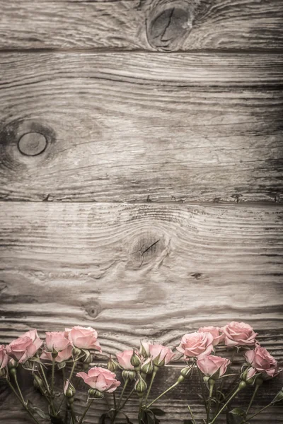 Flores cor-de-rosa em placas de madeira cinza — Fotografia de Stock