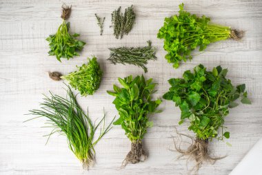 Otlar mix masa üstü görünümü