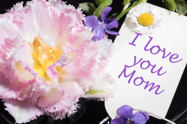 Lale, Menekşe ve papatya kartı ile Anne seni seviyorum