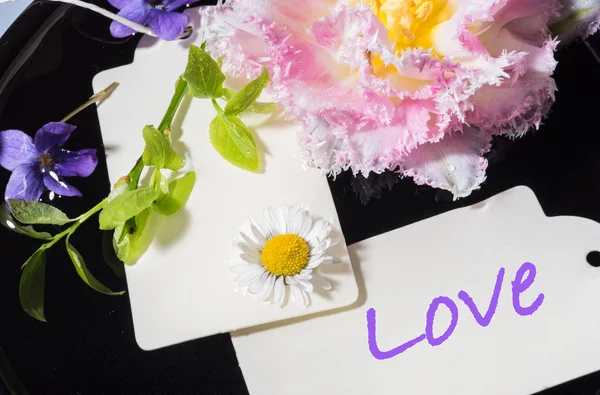 Tulipán, violeta y margarita con tarjeta Love — Foto de Stock