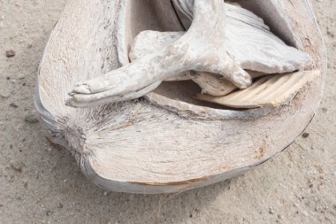 müsveddeleriyle ve kum plaj üzerine Hindistan cevizi