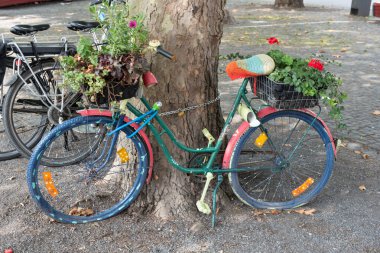 terk edilmiş sektörlerine ağaca ayakta