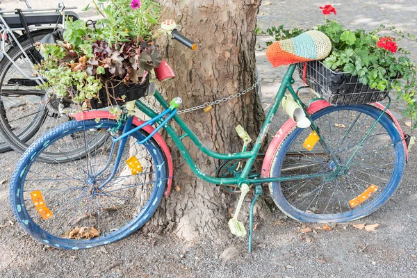 Покинутый велосипед, стоящий у дерева — стоковое фото