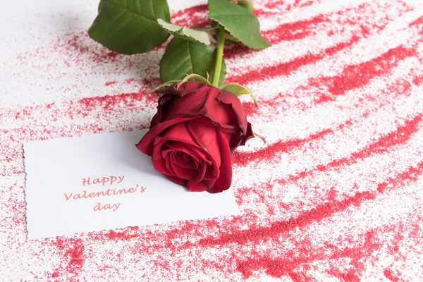 Rosa para el día de San Valentín —  Fotos de Stock