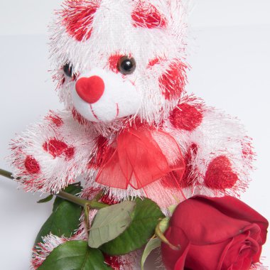 Aşk ayı kalpleri ve rose ile