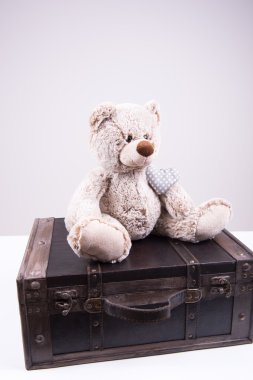 teddy ile Vintage çanta