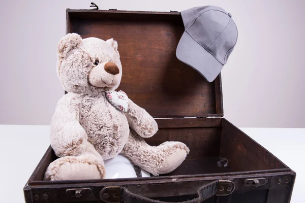 Teddy sitting in vintage suitcase — Stock Photo, Image