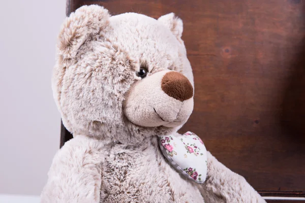 Vintage bavulun içinde oturan Teddy — Stok fotoğraf